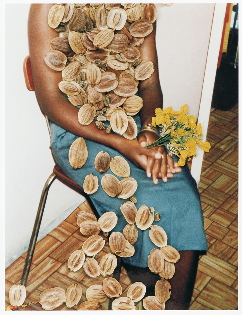 Stephen Gill, Untitled from the series "Hackney Flowers", 2005/2007. Courtesy of Christophe Guye Galerie